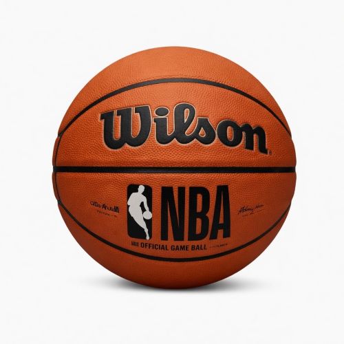 Wilson Evolution Indoor Basketball